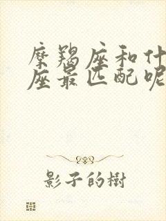 摩羯座和什么星座最匹配呢