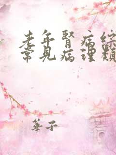 老年肾病综合征常见病理类型