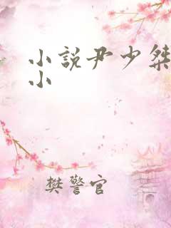 小说尹少桀慕小小