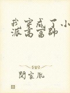 我穿成了小说反派高富帅