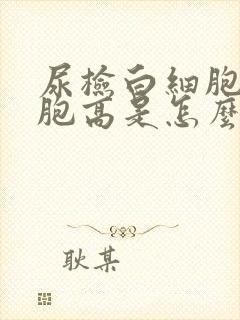 尿检白细胞红细胞高是怎么回事