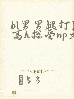 bl男男腿打开高h总受np文
