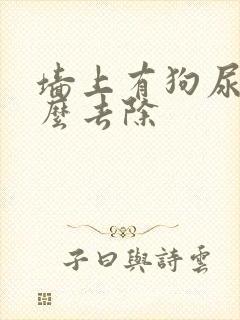 墙上有狗尿味怎么去除