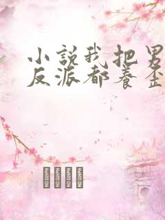 小说我把男主和反派都养歪了免费