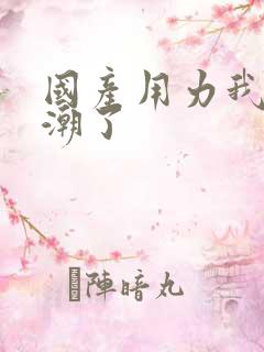 国产用力我要高潮了