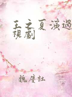 王之夏演过的电视剧