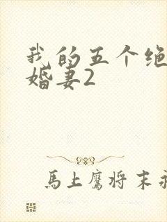 我的五个绝色未婚妻2