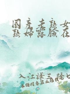 国产老熟女伦老熟妇露脸在线