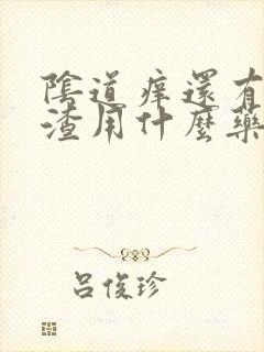 阴道痒还有豆腐渣用什么药