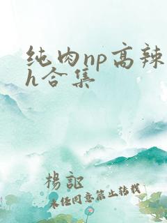 纯肉np高辣文h合集