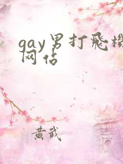 gay男打飞机网站