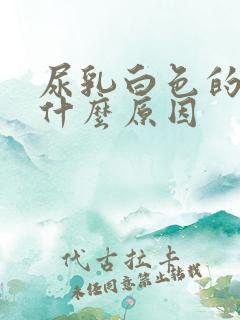 尿乳白色的尿是什么原因