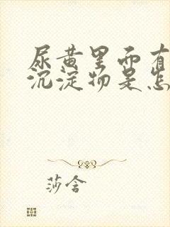 尿黄里面有白色沉淀物是怎么回事