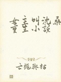 女主叫沈桑宁的重生小说