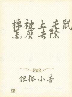 棉被上老鼠尿味怎么去除