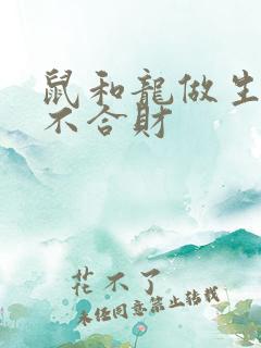 鼠和龙做生意合不合财