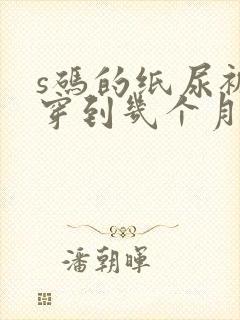 s码的纸尿裤能穿到几个月