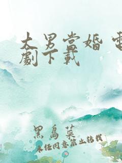 大男当婚 电视剧下载