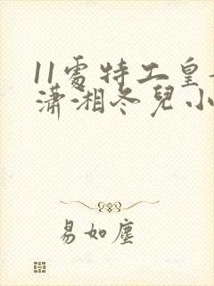 11处特工皇妃潇湘冬儿小说