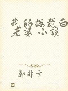 我的总裁白富美老婆 小说