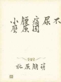 小腹痛尿不尽什么原因