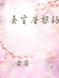 秦霄唐黎的短剧