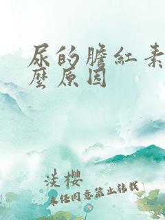 尿的胆红素高什么原因