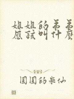 姐姐的弟弟姐夫应该叫什么