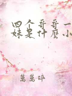 四个哥哥一个妹妹是什么小说