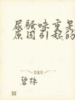 尿骚味重是什么原因引起的