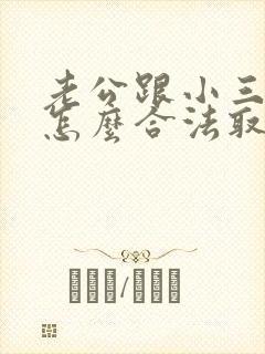 老公跟小三同居怎么合法取证