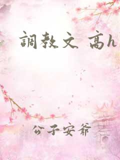 调教文 高h