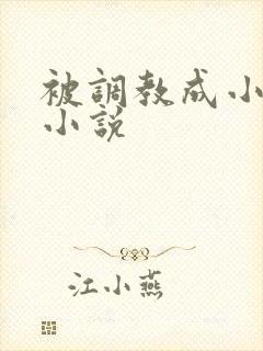 被调教成小母狗小说