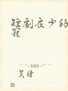 短剧夜少的心尖宠