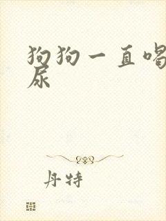 狗狗一直喝水不尿