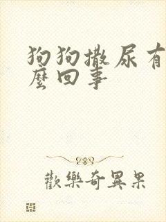 狗狗撒尿有血怎么回事