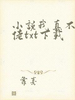 小说我真不是大佬txt下载