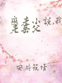 恋老小说,我和老岳父