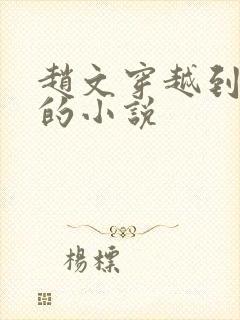 赵文穿越到明朝的小说