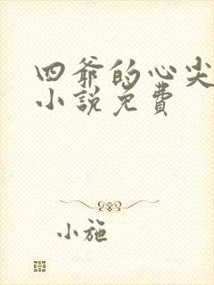四爷的心尖宠妃小说免费