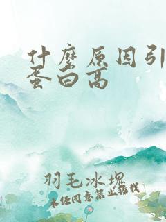 什么原因引起尿蛋白高