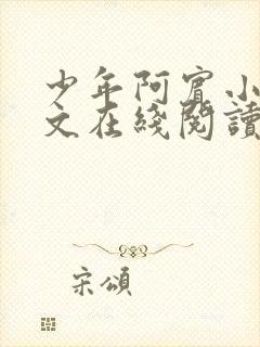 少年阿宾小说全文在线阅读