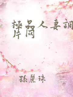 极品人妻调教毛片网