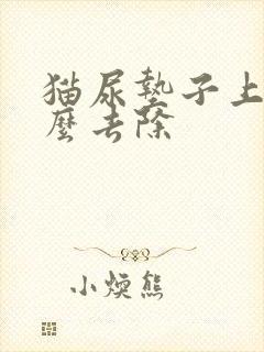 猫尿垫子上味怎么去除