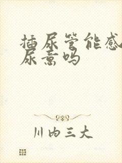 插尿管能感觉到尿意吗