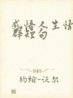 感悟人生情感精辟短句