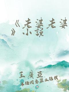 《老婆老婆老婆》小说