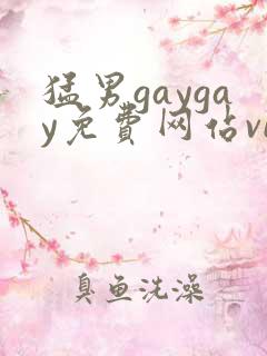 猛男gaygay免费网站video