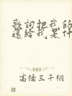 歌词把我的爱情还给我是什么歌