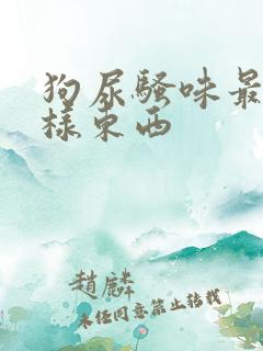 狗尿骚味最怕三样东西